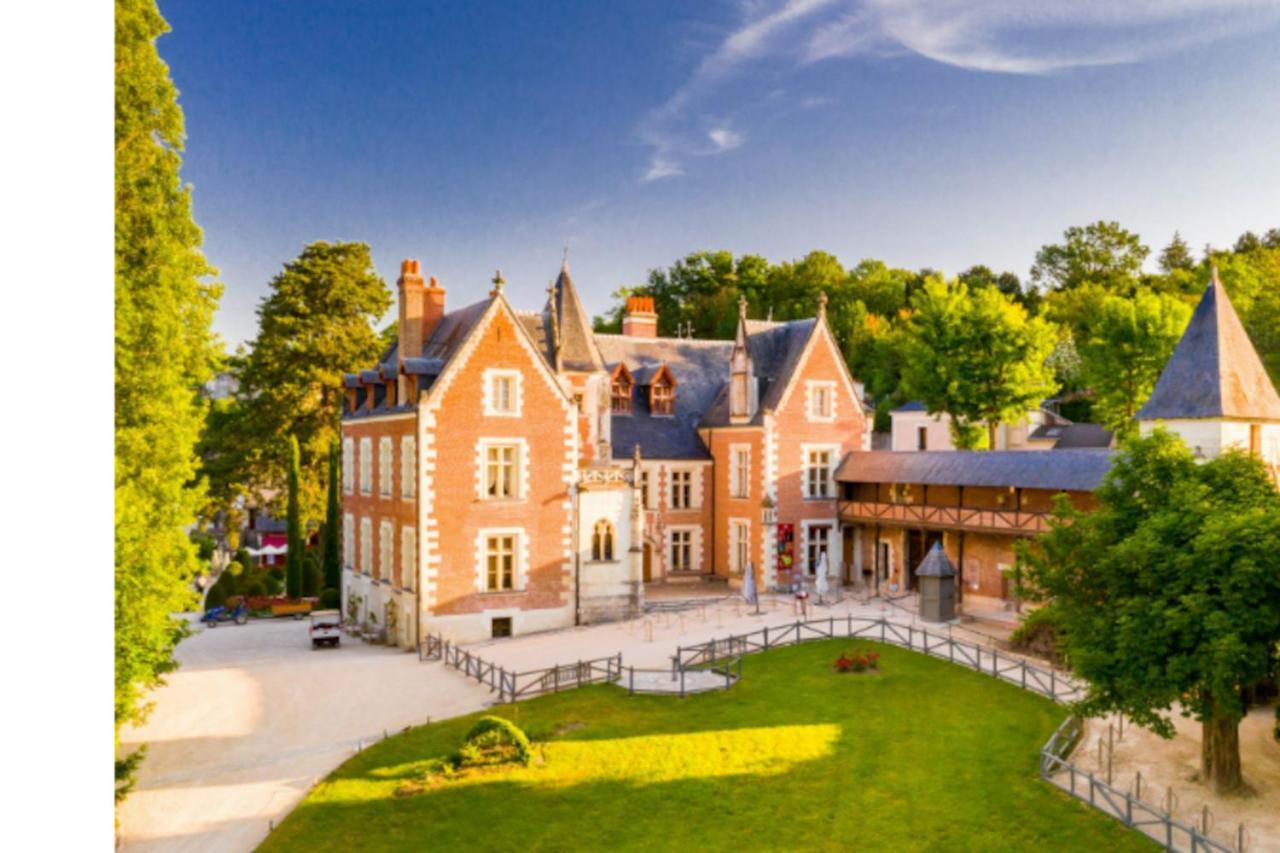 Da Vinci - Charmant Et Relax Amboise Esterno foto