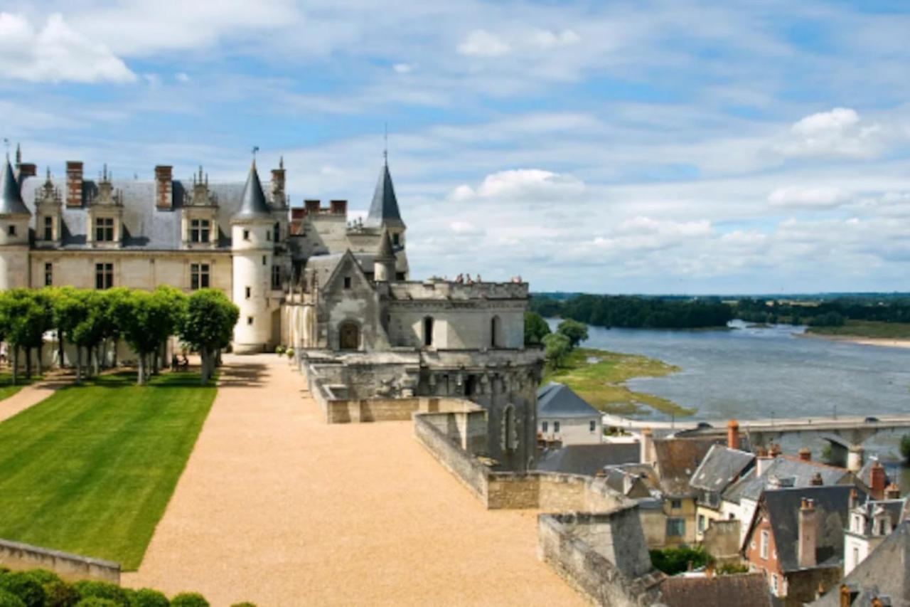 Da Vinci - Charmant Et Relax Amboise Esterno foto