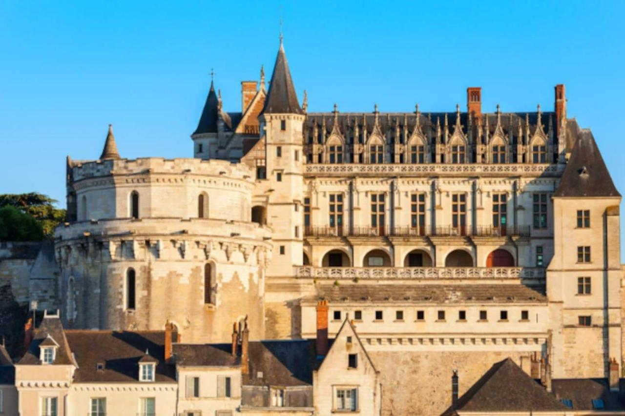 Da Vinci - Charmant Et Relax Amboise Esterno foto